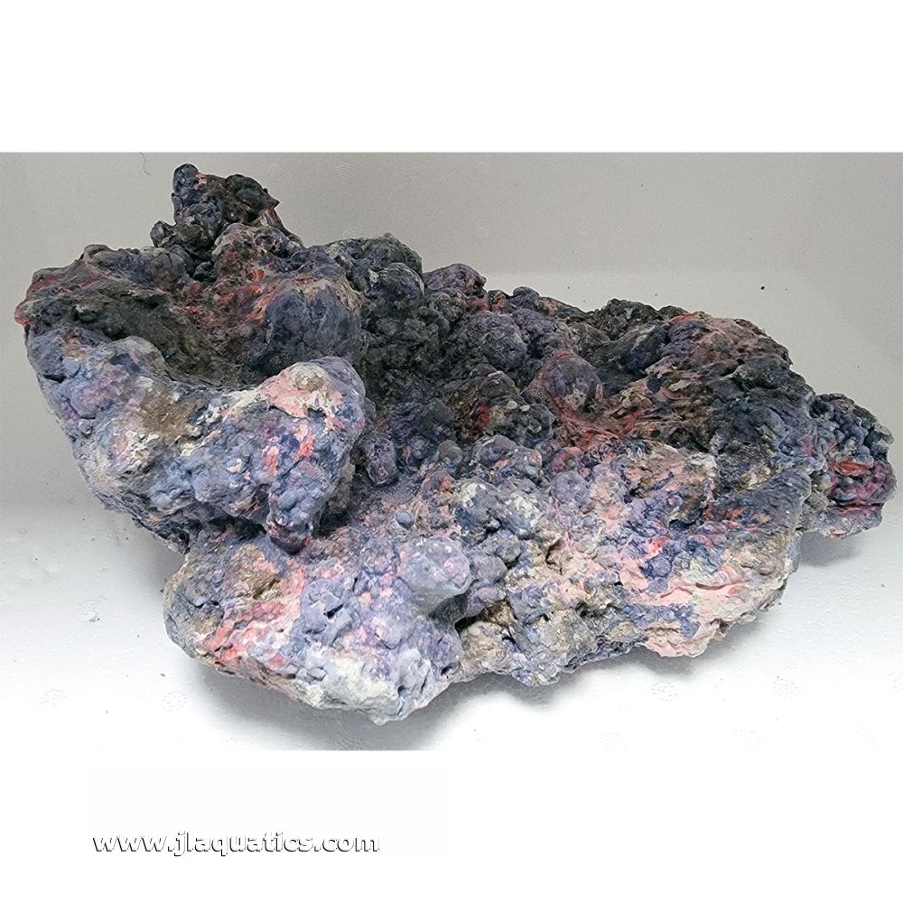 aquariumsupplydirect.com