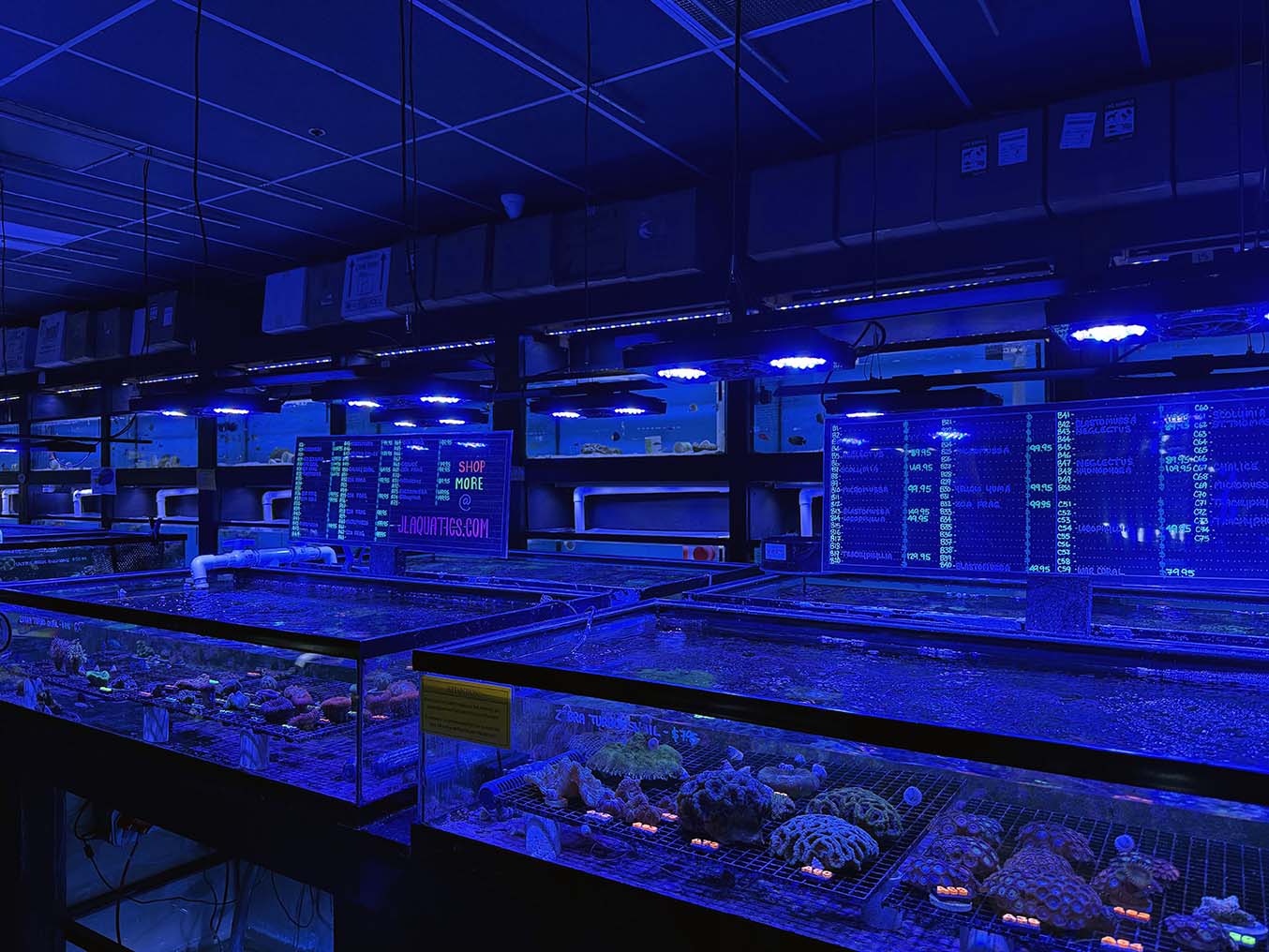 Shopping - J&L Aquatics