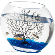 Hygger Glass Fish Bowl example image of the glass bowl set up with tree decoration and glass beads that are included with this product.