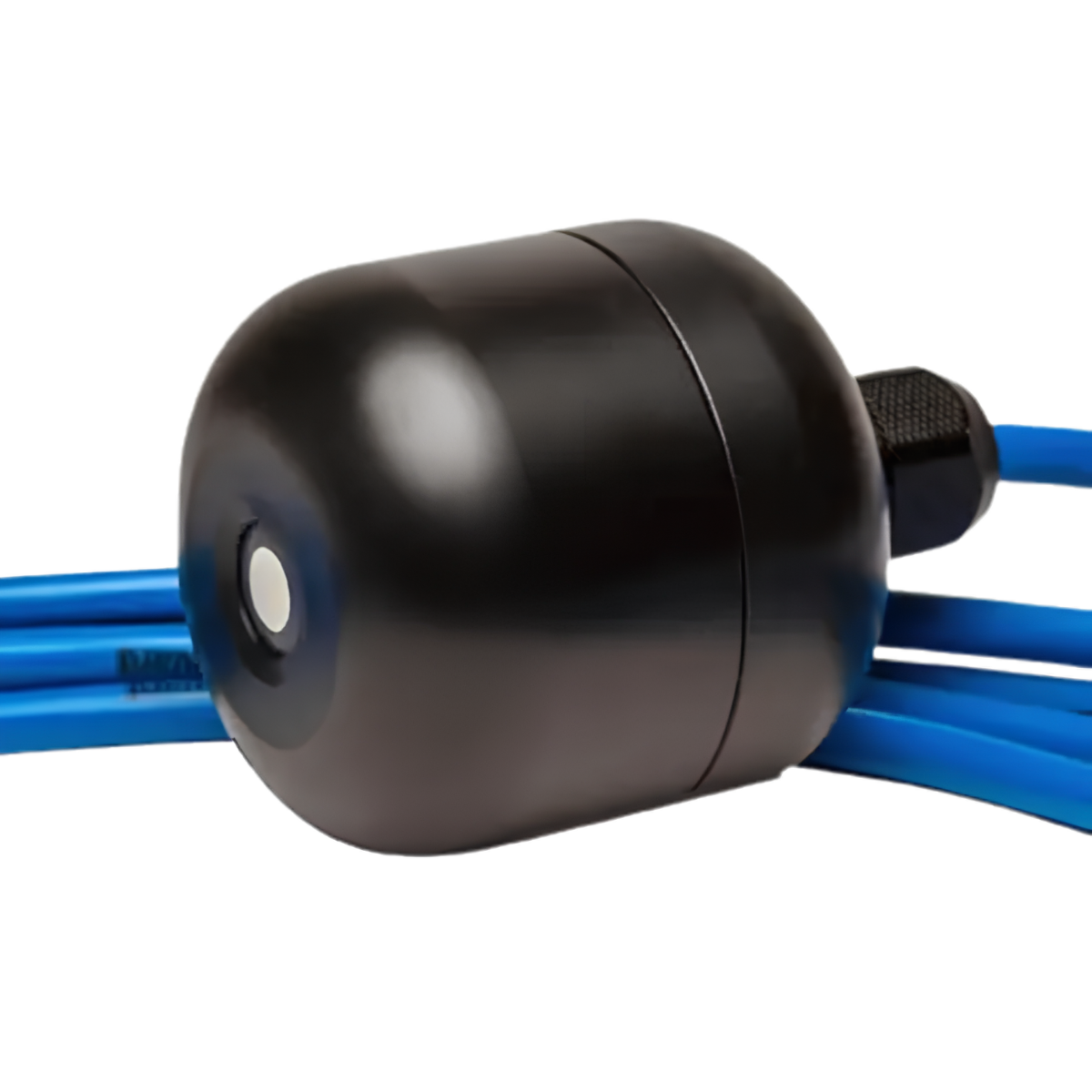 Neptune Oxyguard Probe with Cable close-up top view 