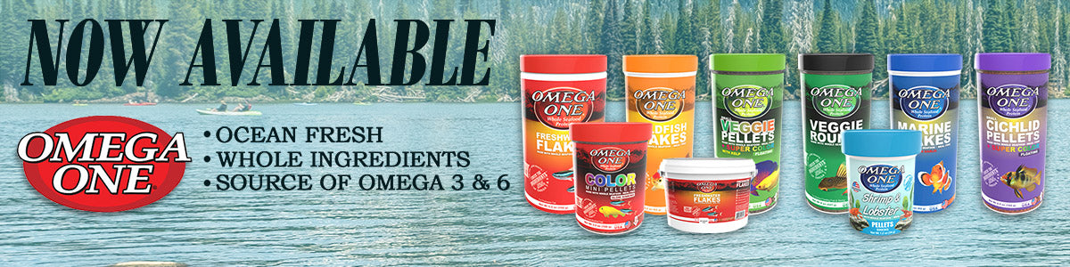 Shopping - J&L Aquatics
