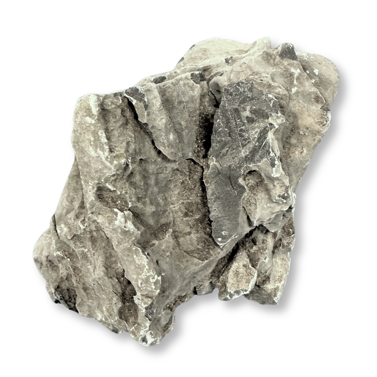 Reef Crest Seiryu Stone Rock - 1lb alternate view single rock