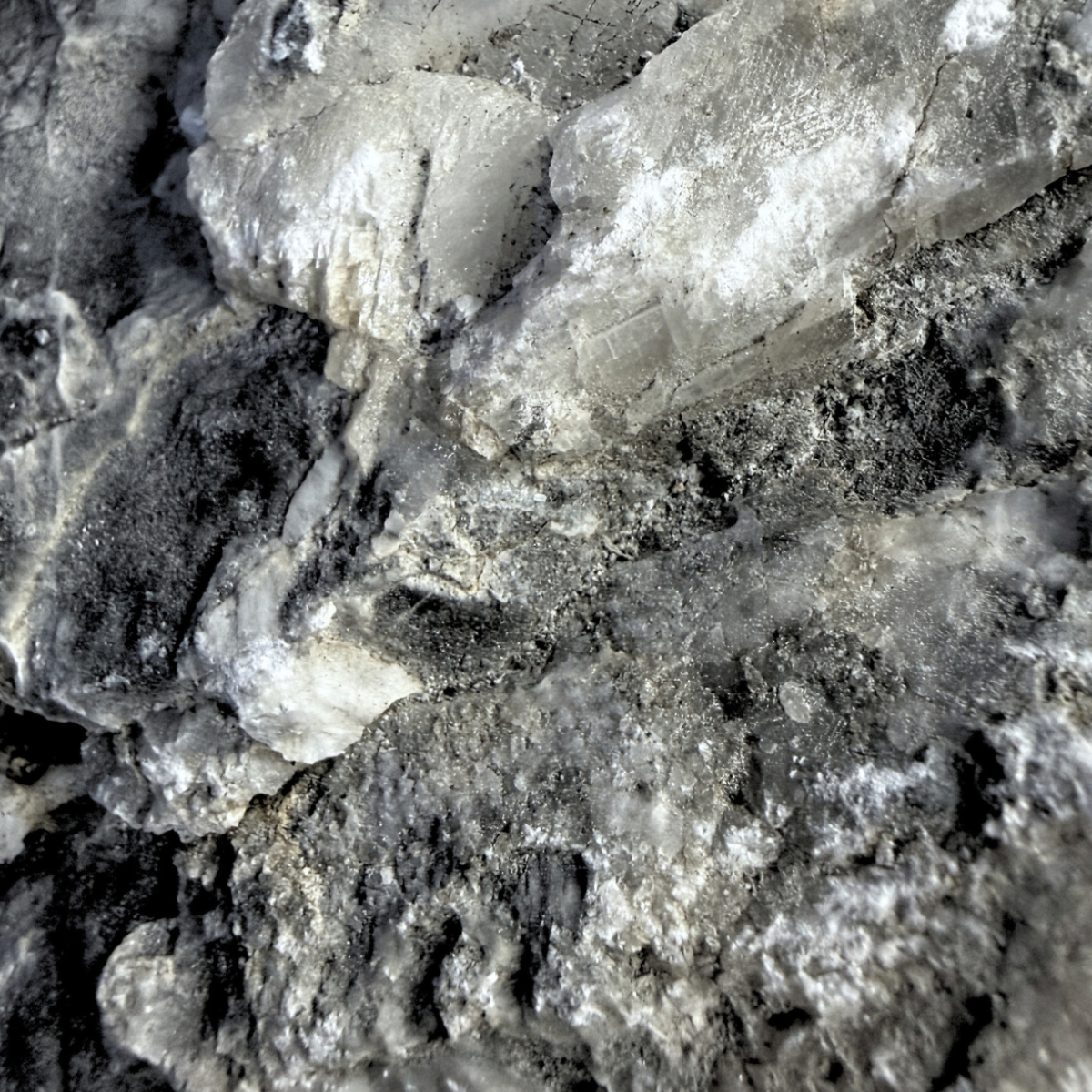 Reef Crest Dark Seiryu Stone Rock - 1lb close-up of texture and color