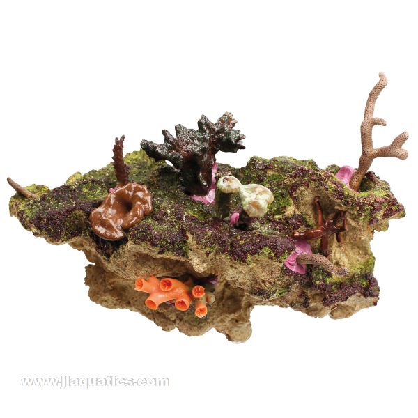 Tunze Coral Rack Nano - 0104.800 being used with corals