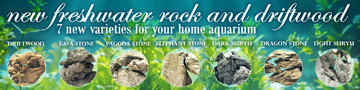 Shopping - J&L Aquatics