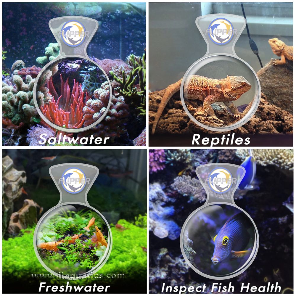 Flipper DeepSee Clear Magnifier - 4 Inch showing the different applications this can be used for