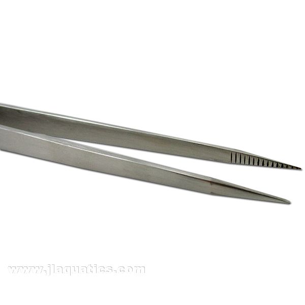 Ista Water Plant Forceps
