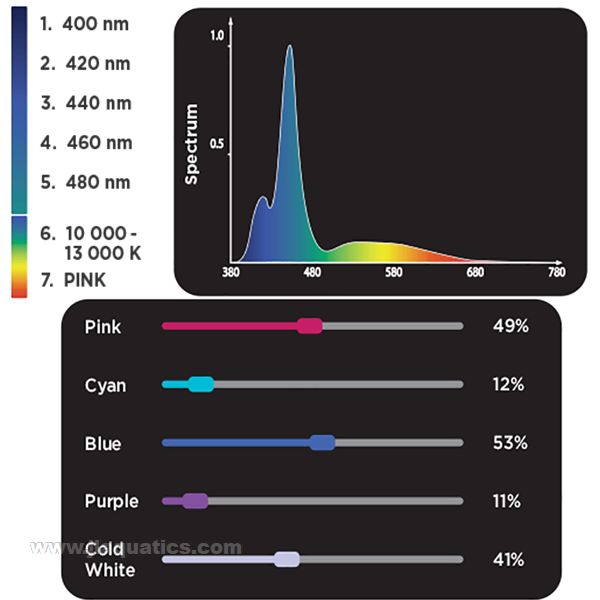 Spectrum of the Fluval Sea Marine & Reef 3.0 Led Light - 24-34 Inch aquarium led light.