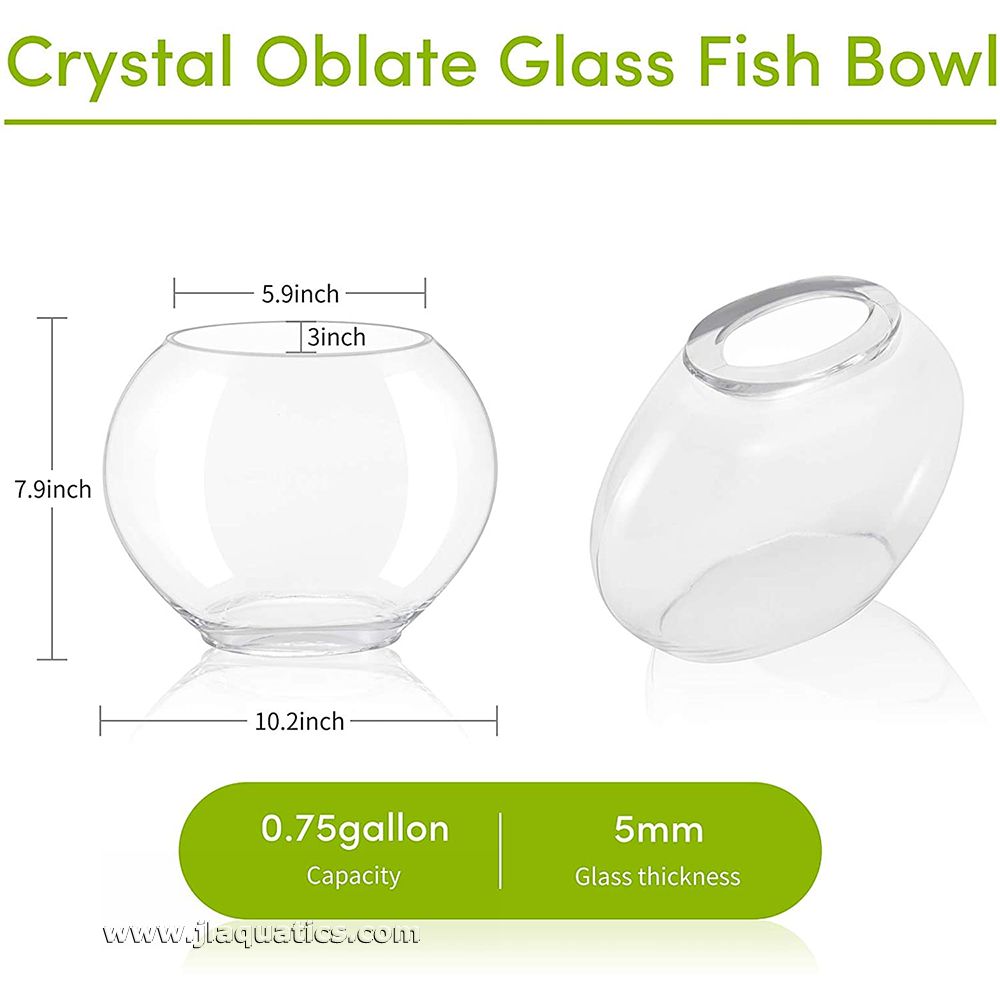 Hygger Glass Fish Bowl dimensions, showing 5mm glass thickness