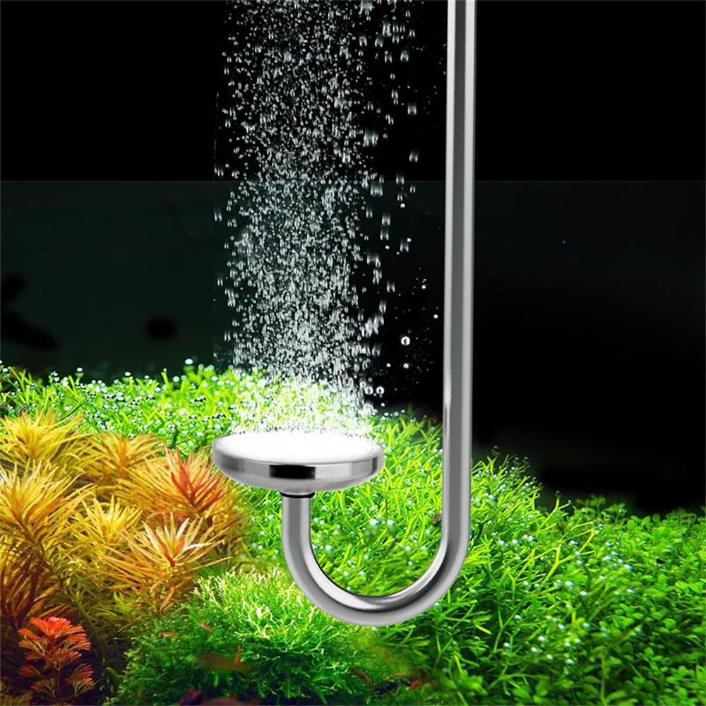 Large Hygger Stainless Steel CO2 Diffuser being used in a planted aquarium.