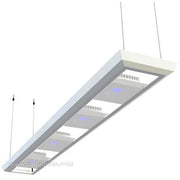 Red Sea LED