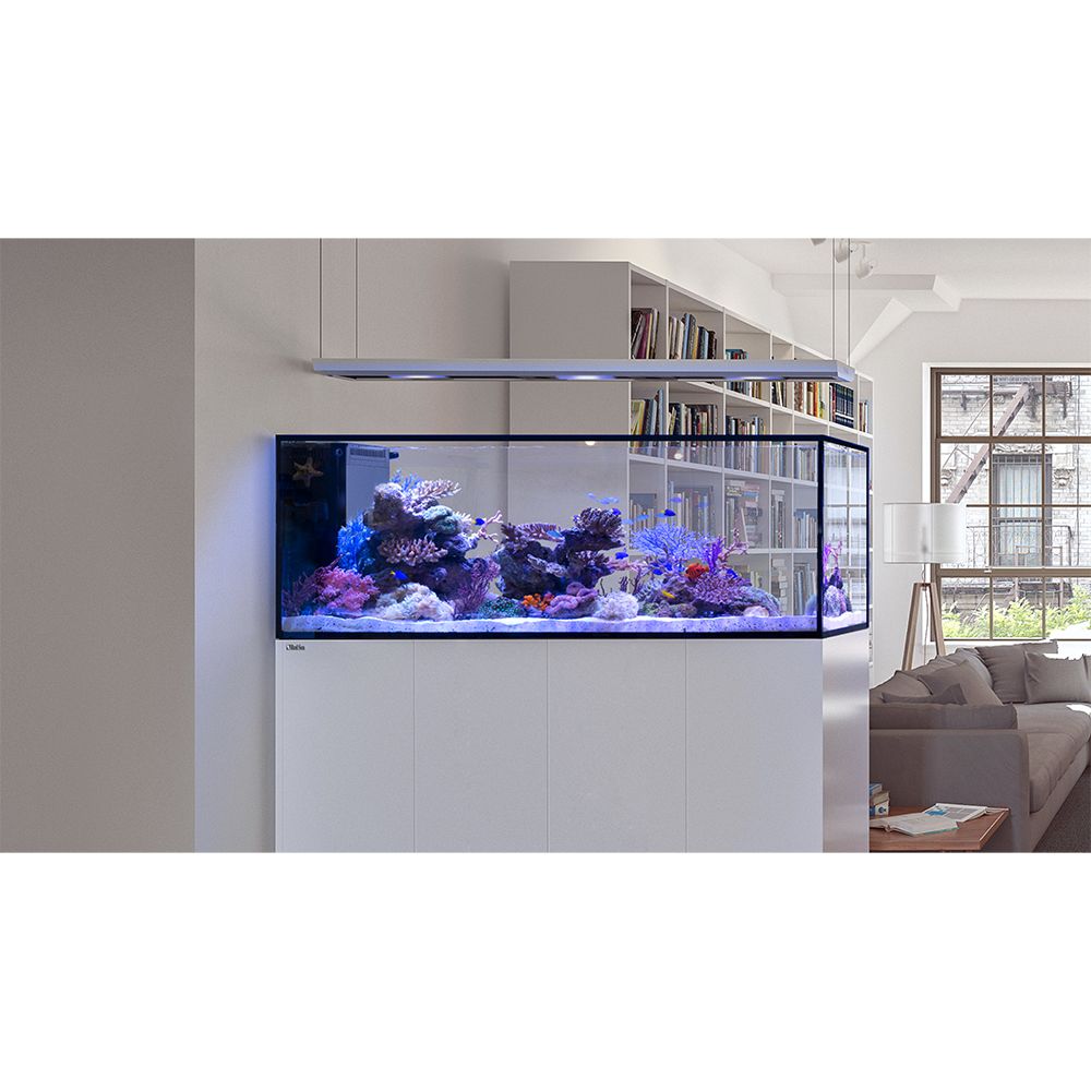 A full Red Sea Reefer G3 Peninsula Aquarium on display.