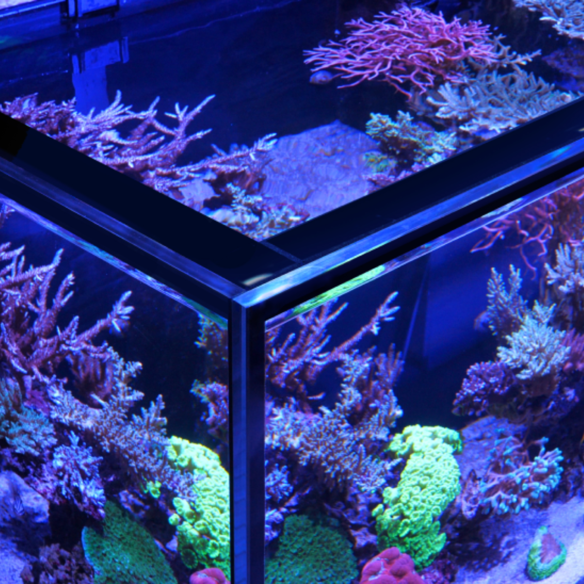 Red Sea close-up of Eurobraced ultra-clear glass