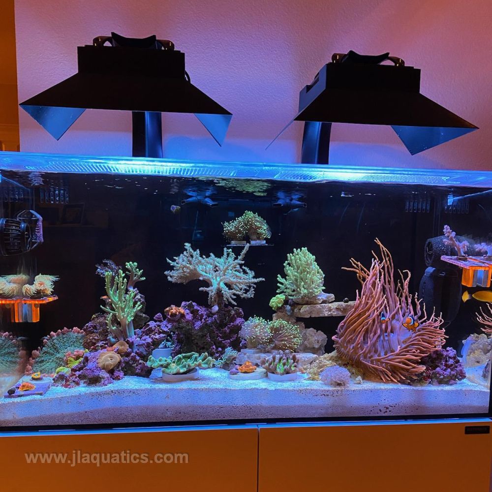 Ecotech XR15 45d 3 Side Light Spill Shade - 5 Inch over an aquairum