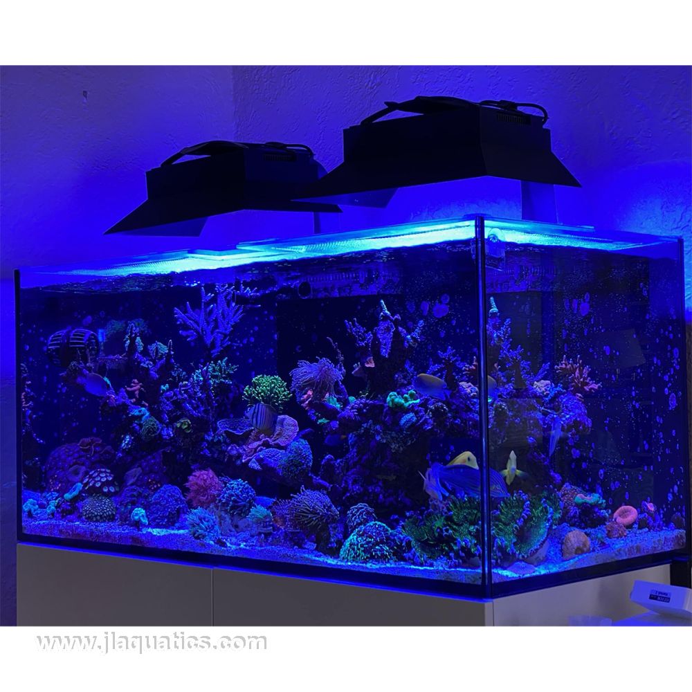 Ecotech XR30 60d 3 Side Light Spill Shade - 5 Inch over a reef aquarium