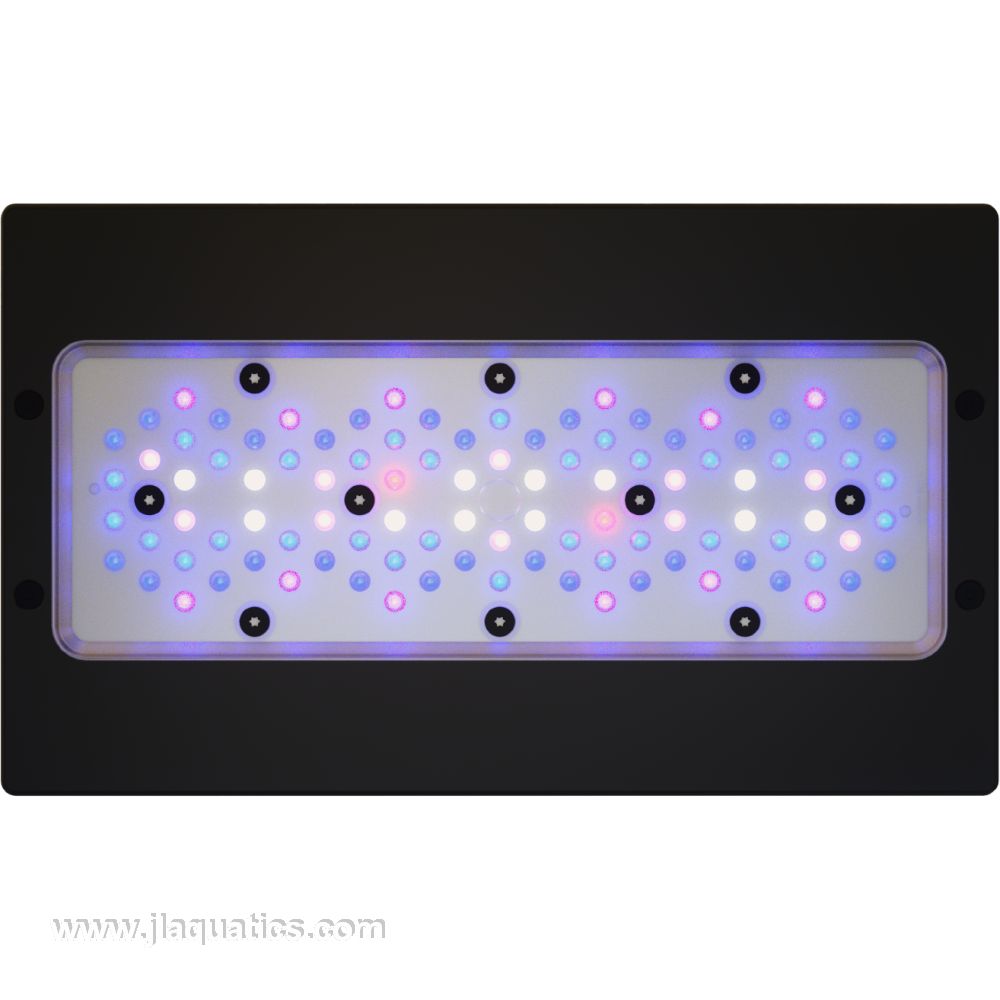 Ecotech Radion G6 XR30 Blue LED Light  led layout